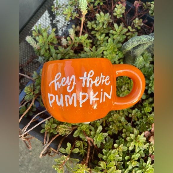 Pumpkin Planter - Picture 6 of 9